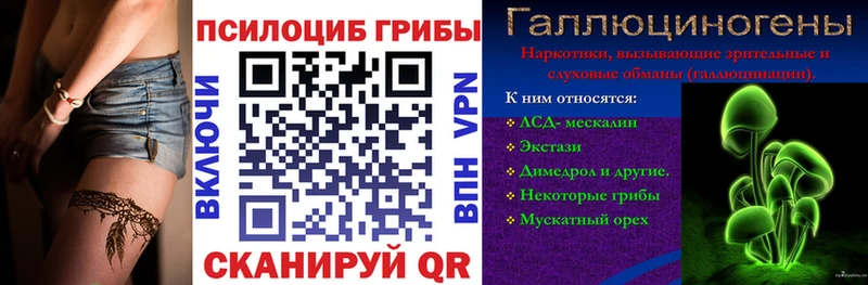 Псилоцибиновые грибы Cubensis Козьмодемьянск